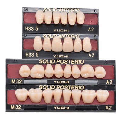 MULTI-LAYER SYNTHETIC RESIN TEETH