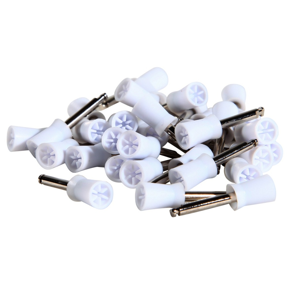 DENTAL POLISH CUPS BAMC