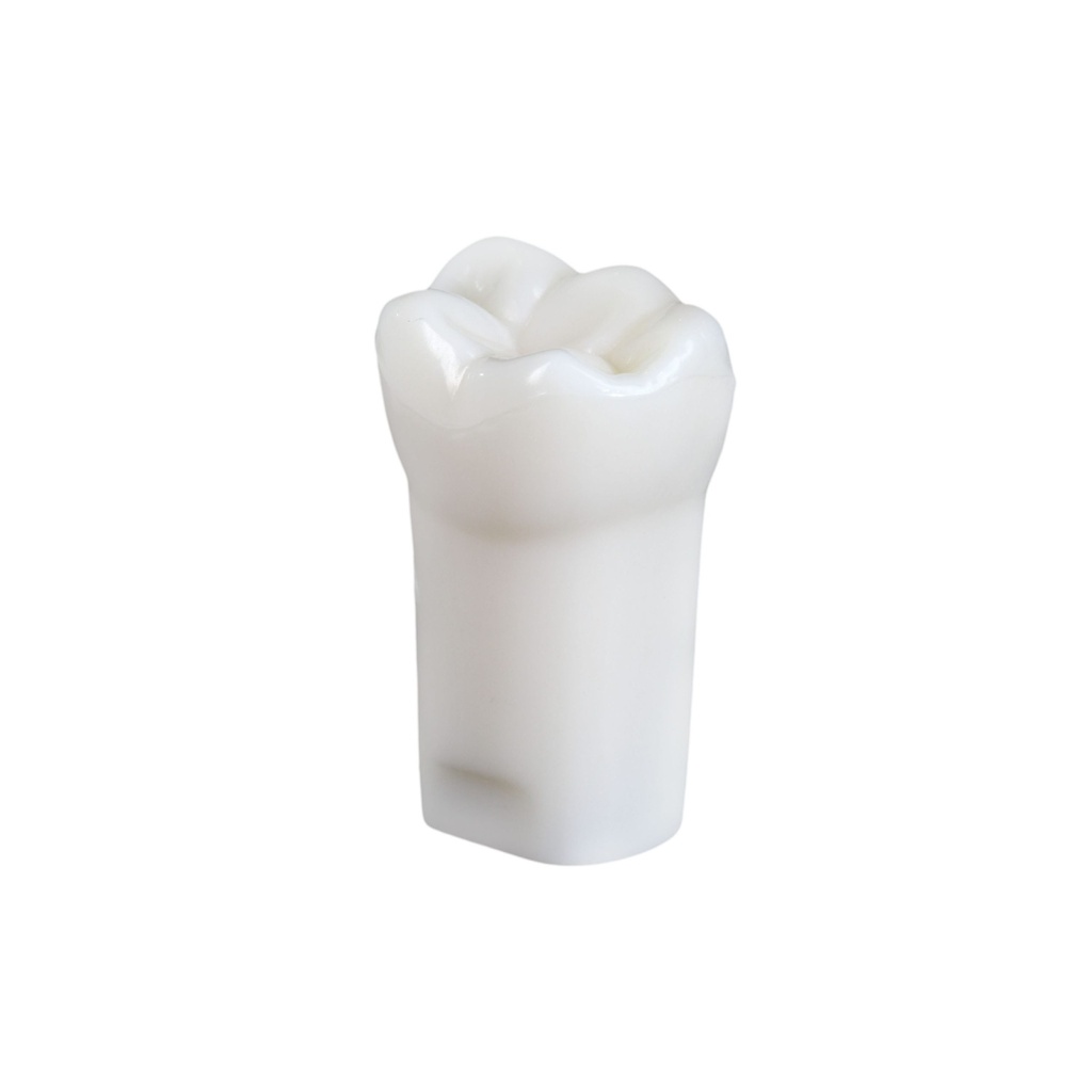 ARTIFICAIL TEETH