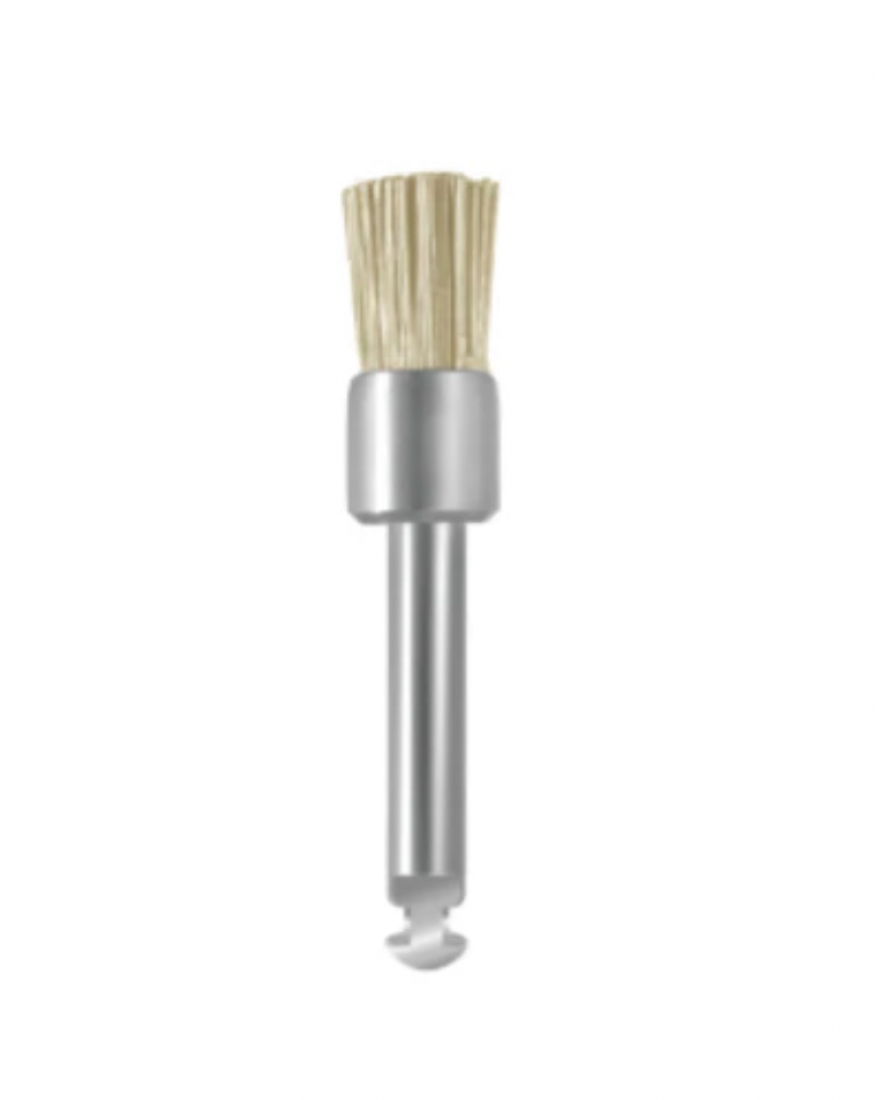 EVE BRUSH WS1 1pcs