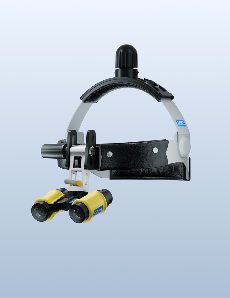 Cordless HL8200 with SLH loup es 6X,500mm