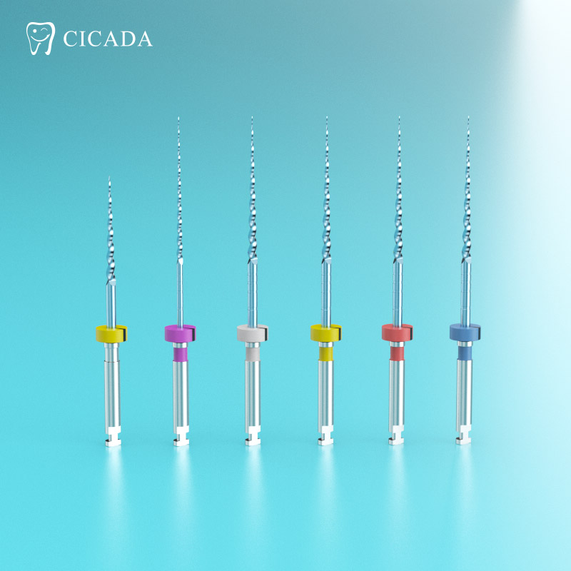 CICADA ENDO FILE BLUE