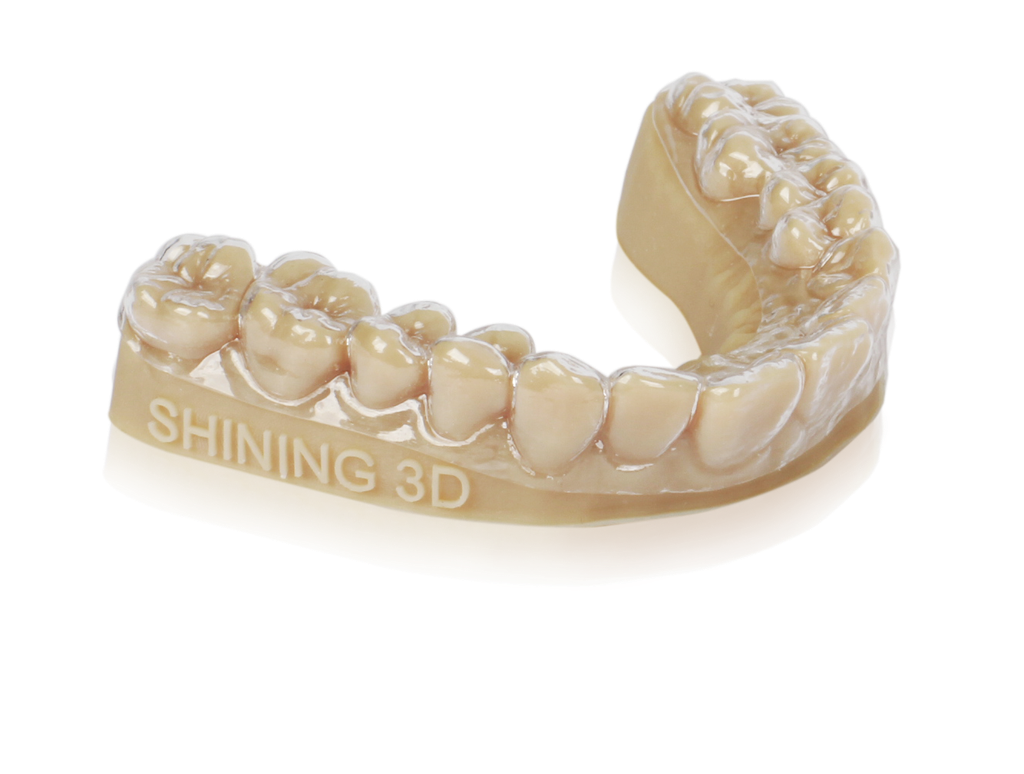 ORTH MODEL RESIN OD02