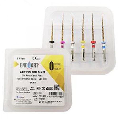 [9900755] ENDOART FINAL TOCH ROTARY FILE