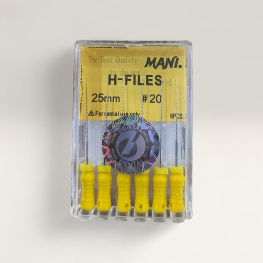 [9901196] H FILE#20      25MM