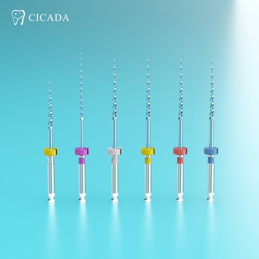 [9800008] CICADA ENDO FILE BLUE